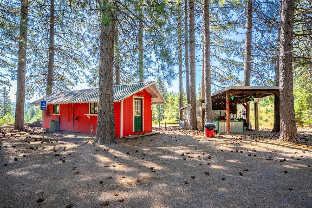 30100 Foresthill Road Foresthill, CA 95631 - Photo 5 of 89 a view of tall trees with sign board
