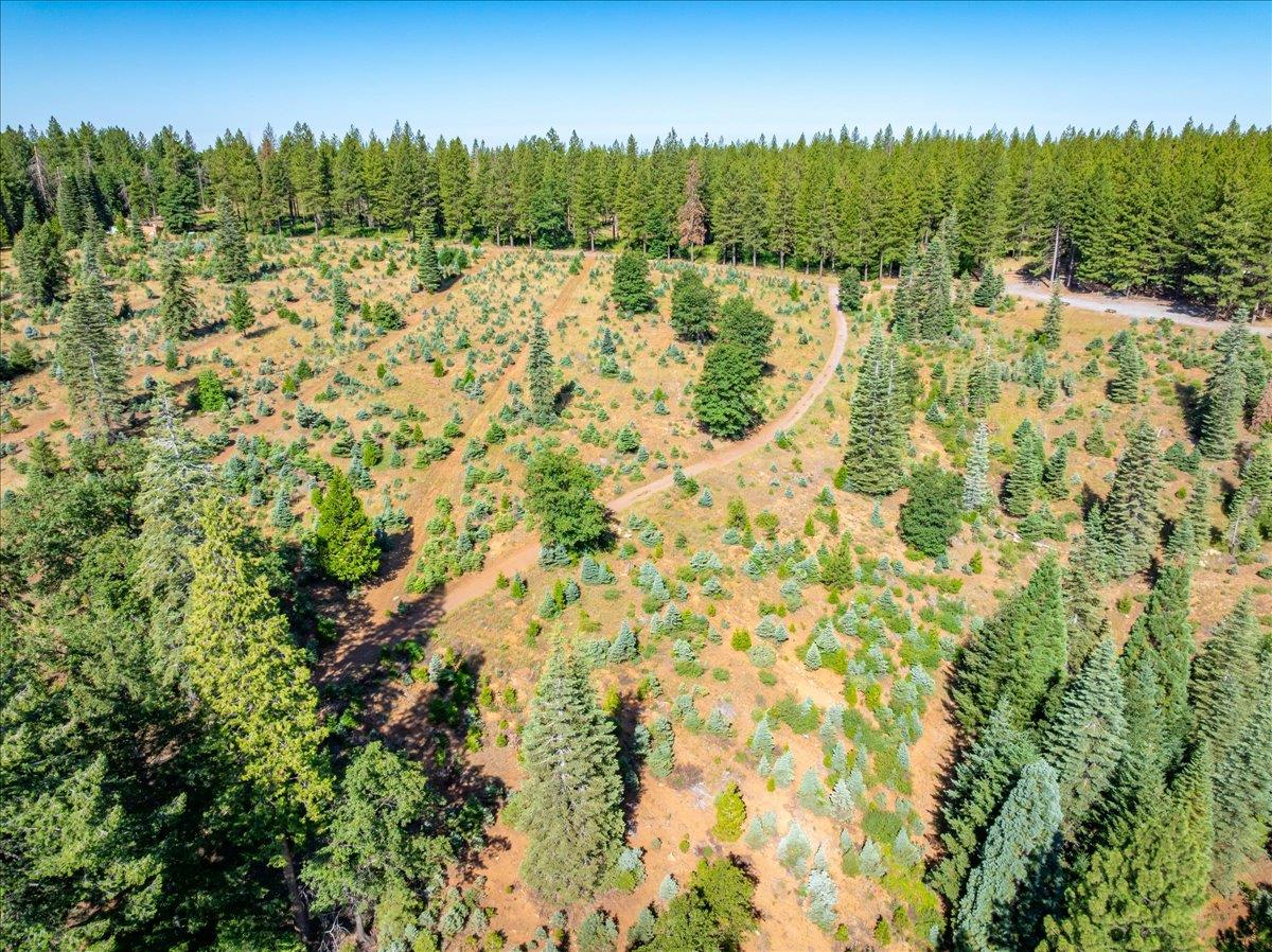 30100 Foresthill Road Foresthill, CA 95631 - Photo 53 of 89 a view of lake and mountain