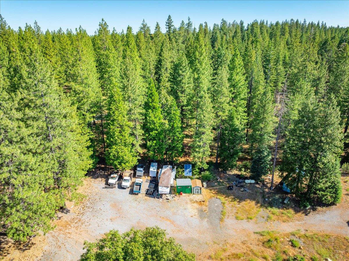 30100 Foresthill Road Foresthill, CA 95631 - Photo 54 of 89