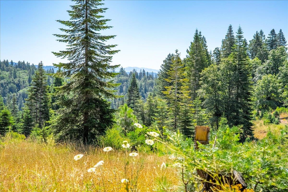 30100 Foresthill Road Foresthill, CA 95631 - Photo 64 of 89