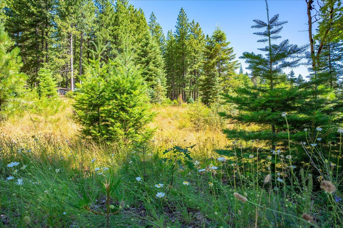 30100 Foresthill Road Foresthill, CA 95631 - Photo 68 of 89