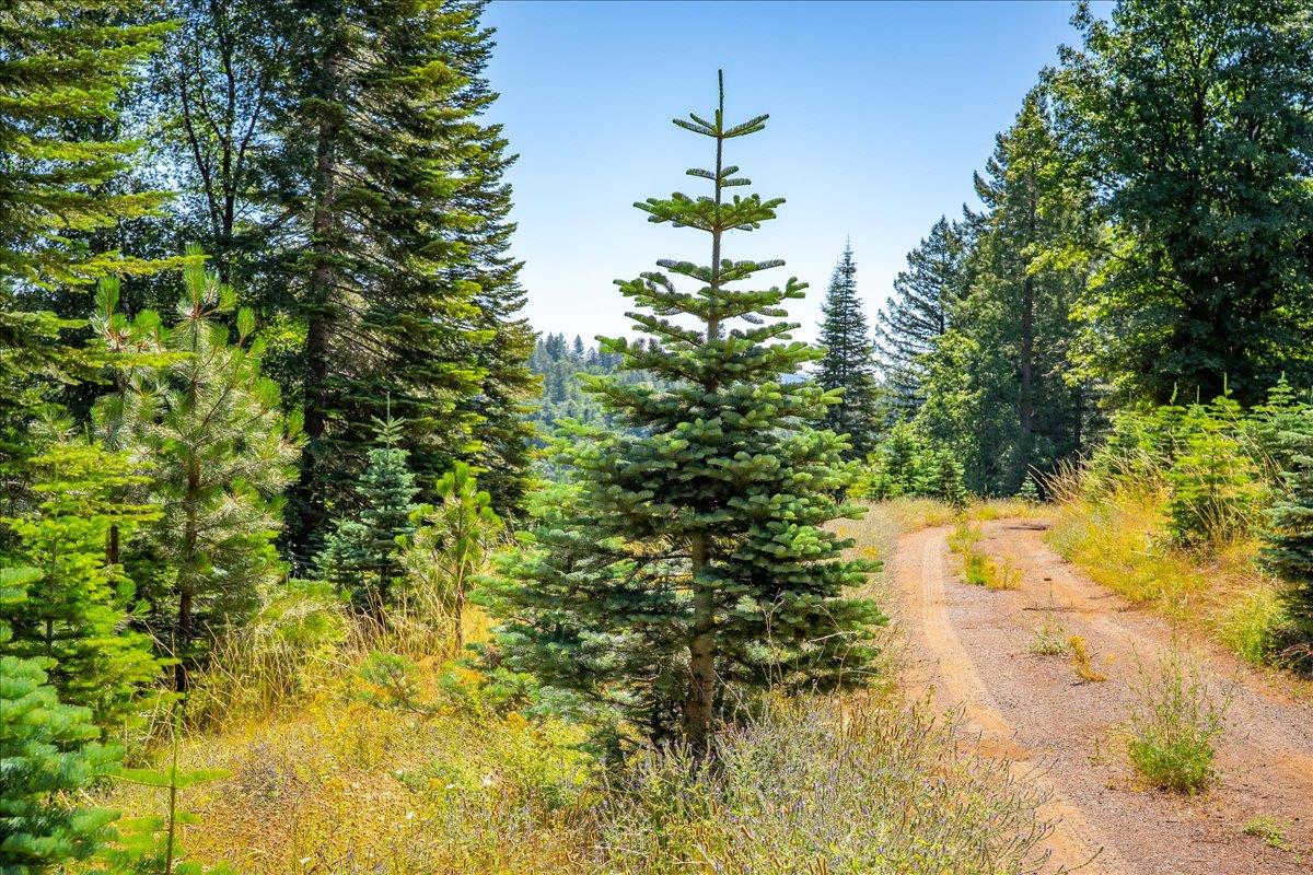 30100 Foresthill Road Foresthill, CA 95631 - Photo 70 of 89