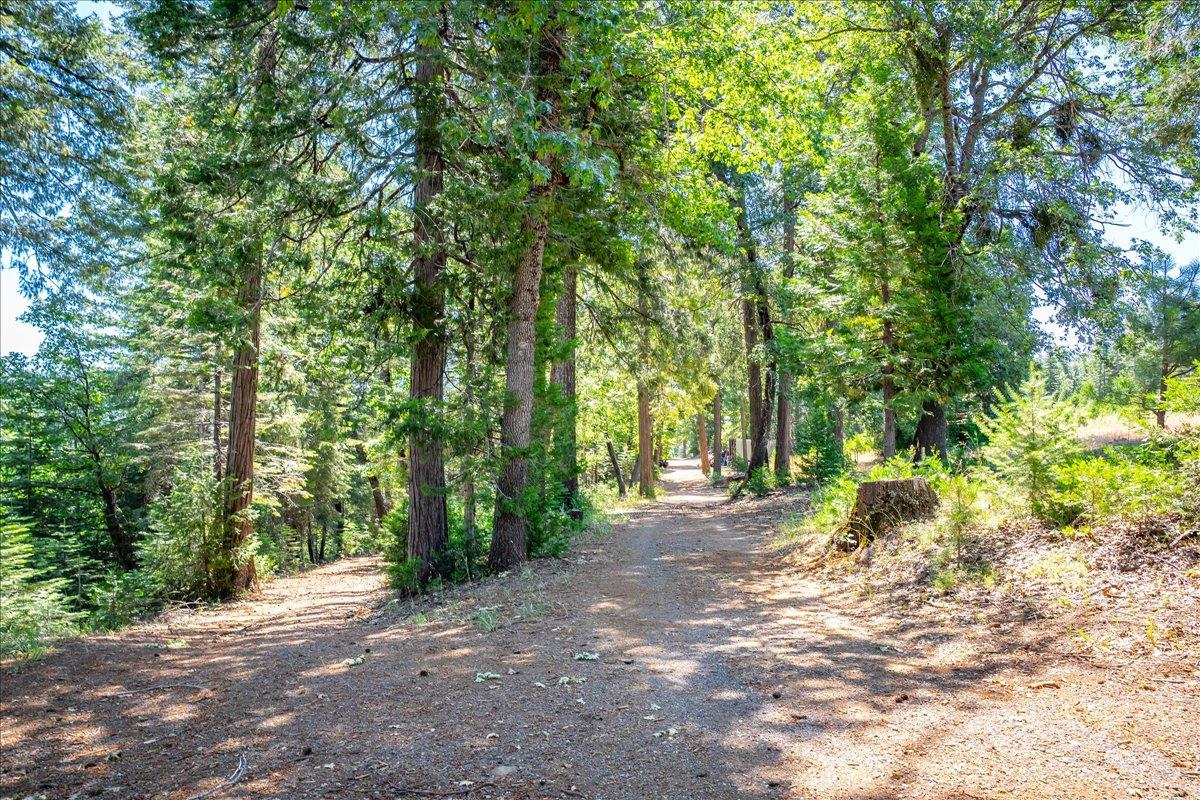 30100 Foresthill Road Foresthill, CA 95631 - Photo 78 of 89