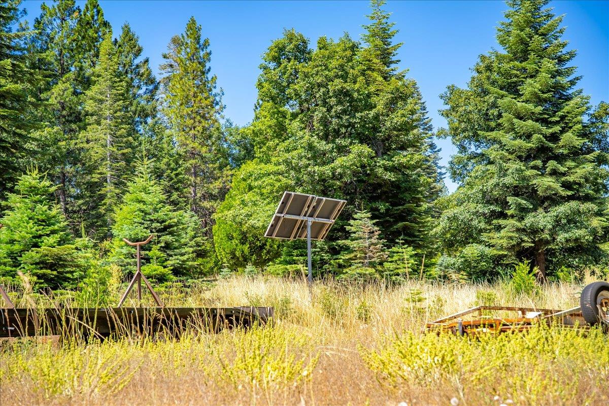 30100 Foresthill Road Foresthill, CA 95631 - Photo 82 of 89 a backyard of a house with a garden and plants