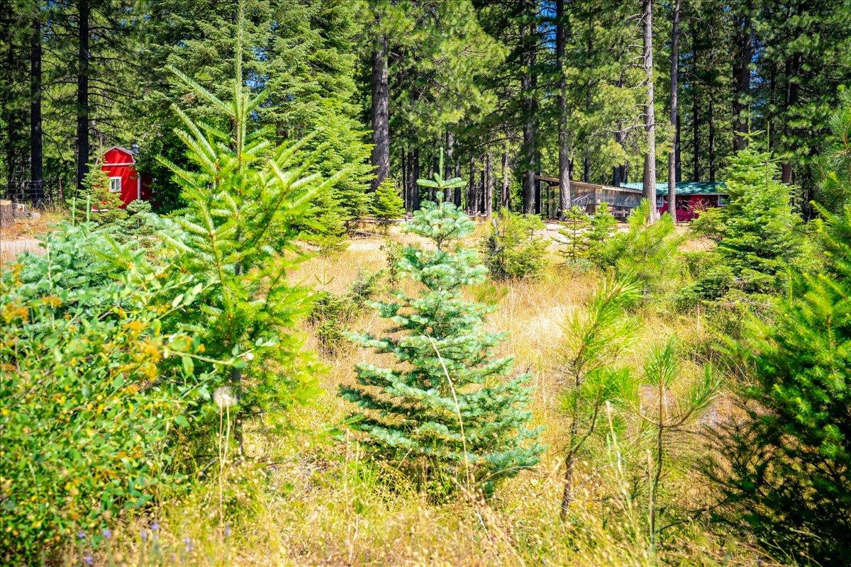 30100 Foresthill Road Foresthill, CA 95631 - Photo 85 of 89