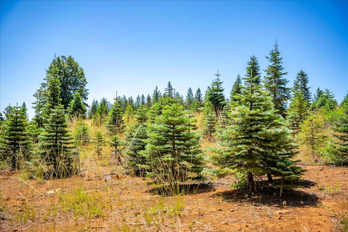30100 Foresthill Road Foresthill, CA 95631 - Photo 86 of 89 a view of outdoor space with a lake view