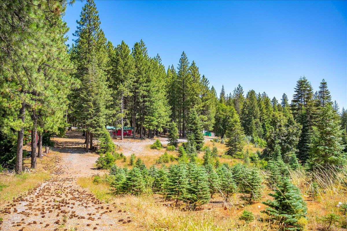 30100 Foresthill Road Foresthill, CA 95631 - Photo 87 of 89 a view of outdoor space with seating area