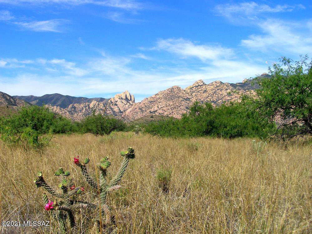 40 Cochise Stronghold Road Cochise, AZ 85606 - Photo 5 of 11