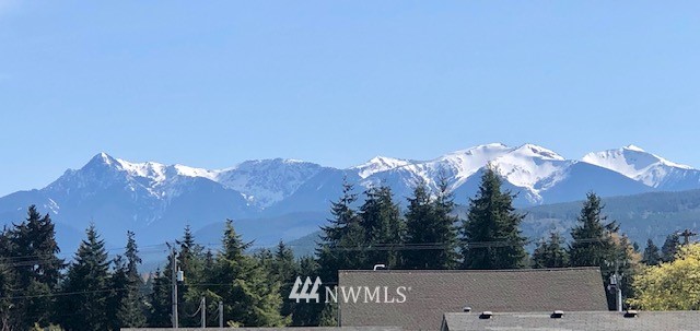 162 Mill Road Sequim, WA 98382 - Photo 3 of 40