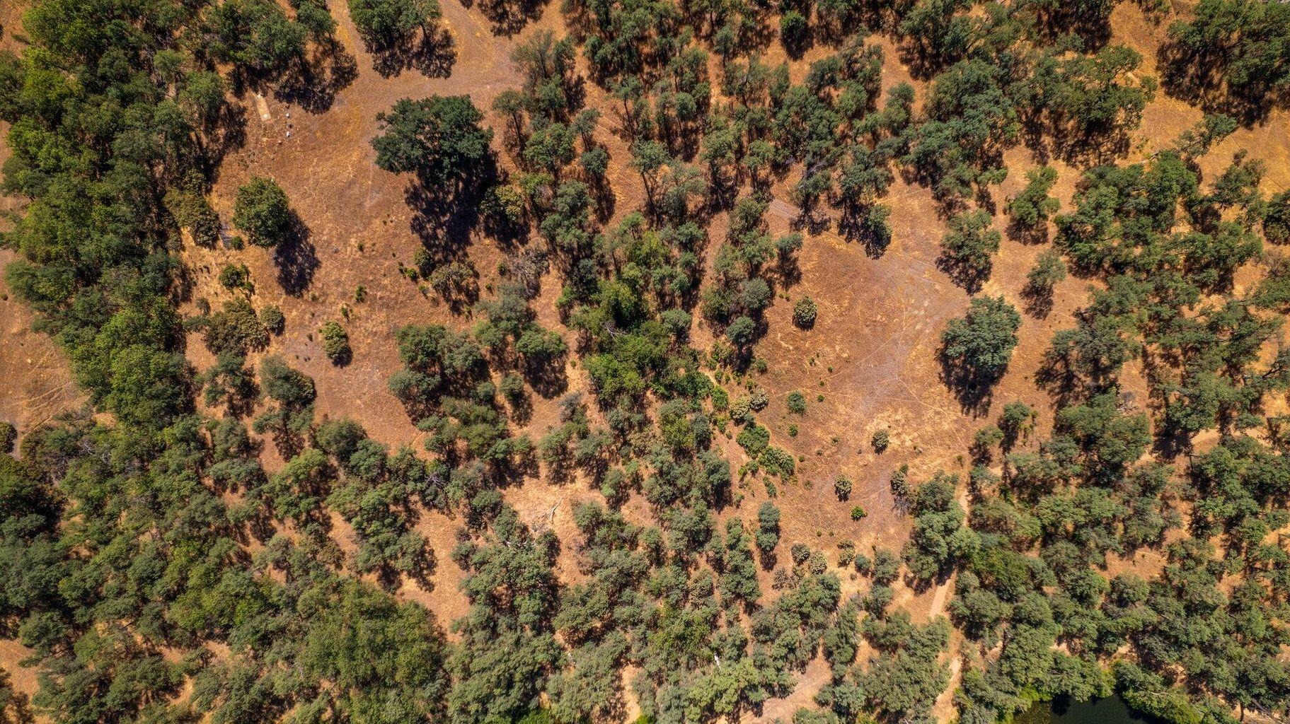 Bernard Way Redding, CA 96003 - Photo 7 of 11 a view of a covered with trees