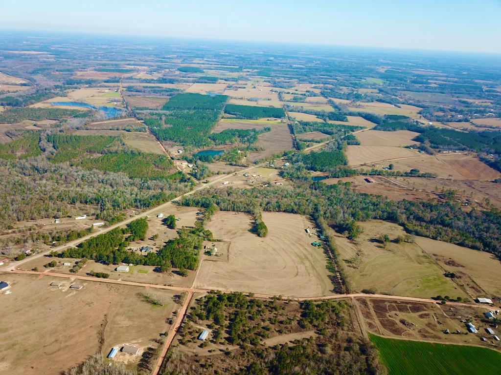 24.6-acres Grant Road Slocomb, AL 36375 - Photo 15 of 17