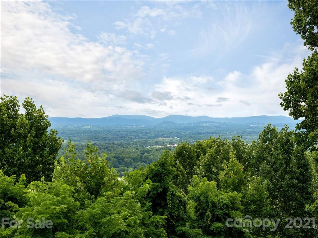 143 Country Ridge Road Hendersonville, NC 28739 - Photo 15 of 29 a view of a green field with lots of bushes