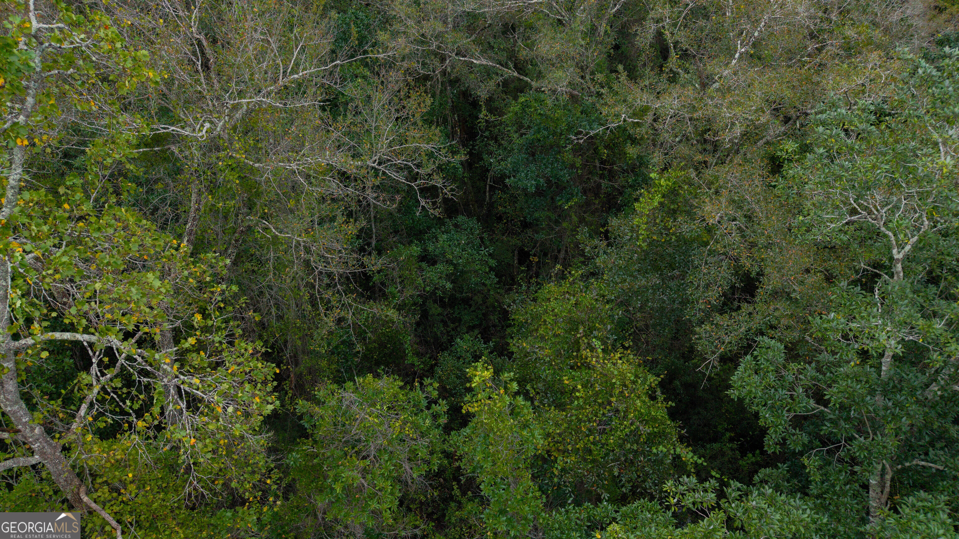 0 Bennett Road Screven, GA 31560 - Photo 36 of 52 Gallery Image 36