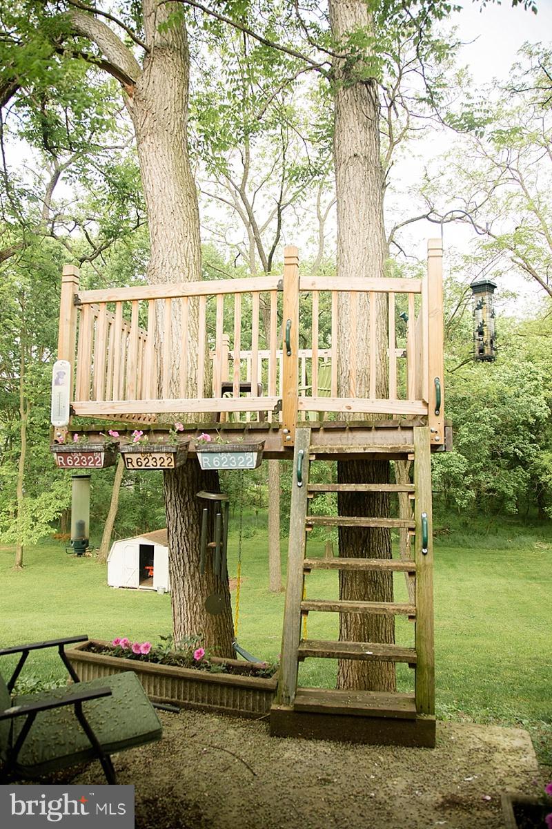 11622 Harp Road Hagerstown, MD 21742 - Photo 23 of 25 Tree House for the young at heart