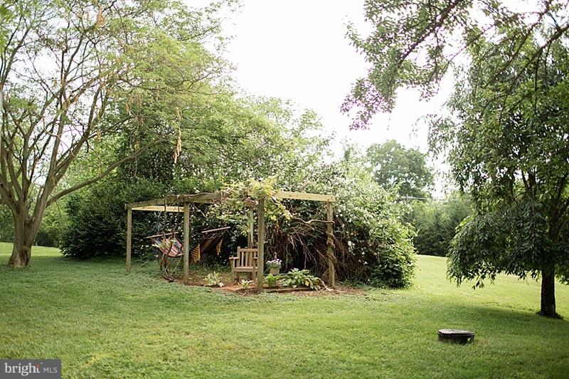 11622 Harp Road Hagerstown, MD 21742 - Photo 25 of 25 Grape arbor and Hammock