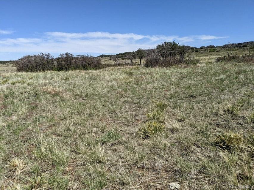 Majors Ranch Walsenburg, CO 81089 - Photo 15 of 50