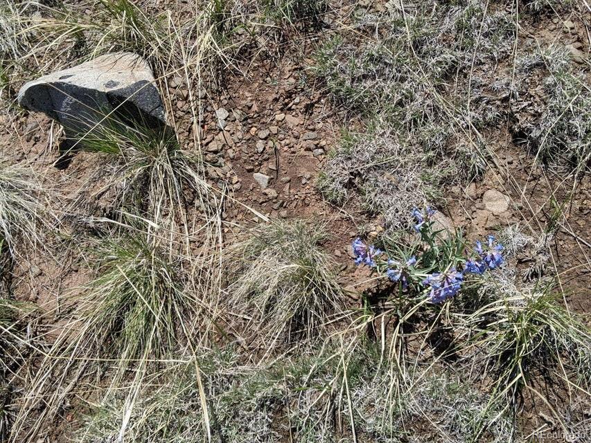Majors Ranch Walsenburg, CO 81089 - Photo 16 of 50