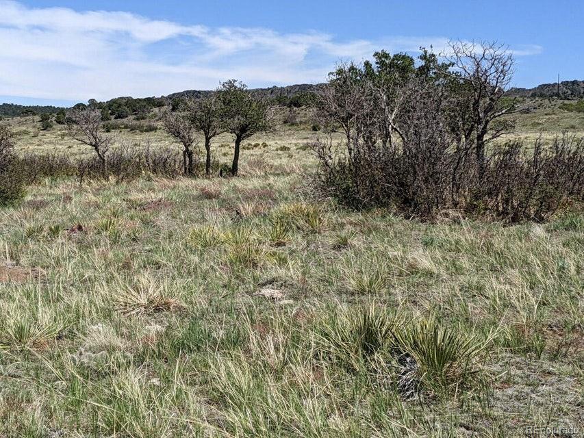 Majors Ranch Walsenburg, CO 81089 - Photo 34 of 50