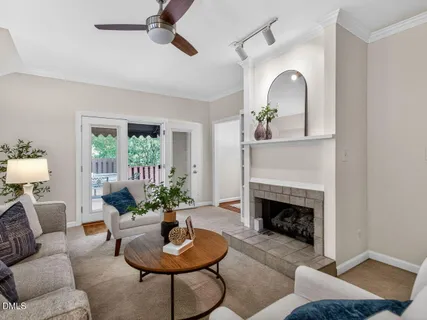 a living room with furniture a fireplace and a potted plant