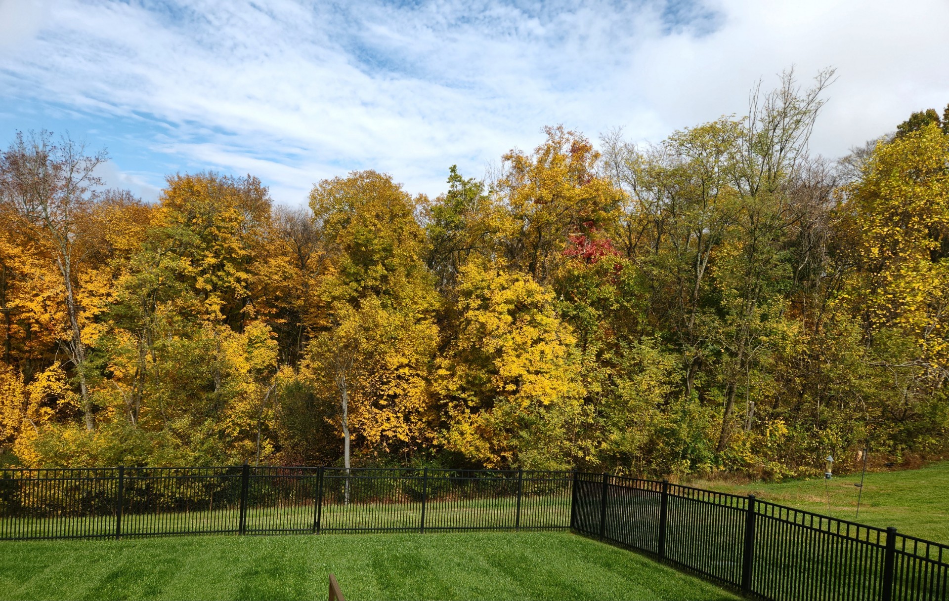 892 Meadow Crest Way Lebanon, TN 37090 - Photo 31 of 47 a view of a field with trees in the background