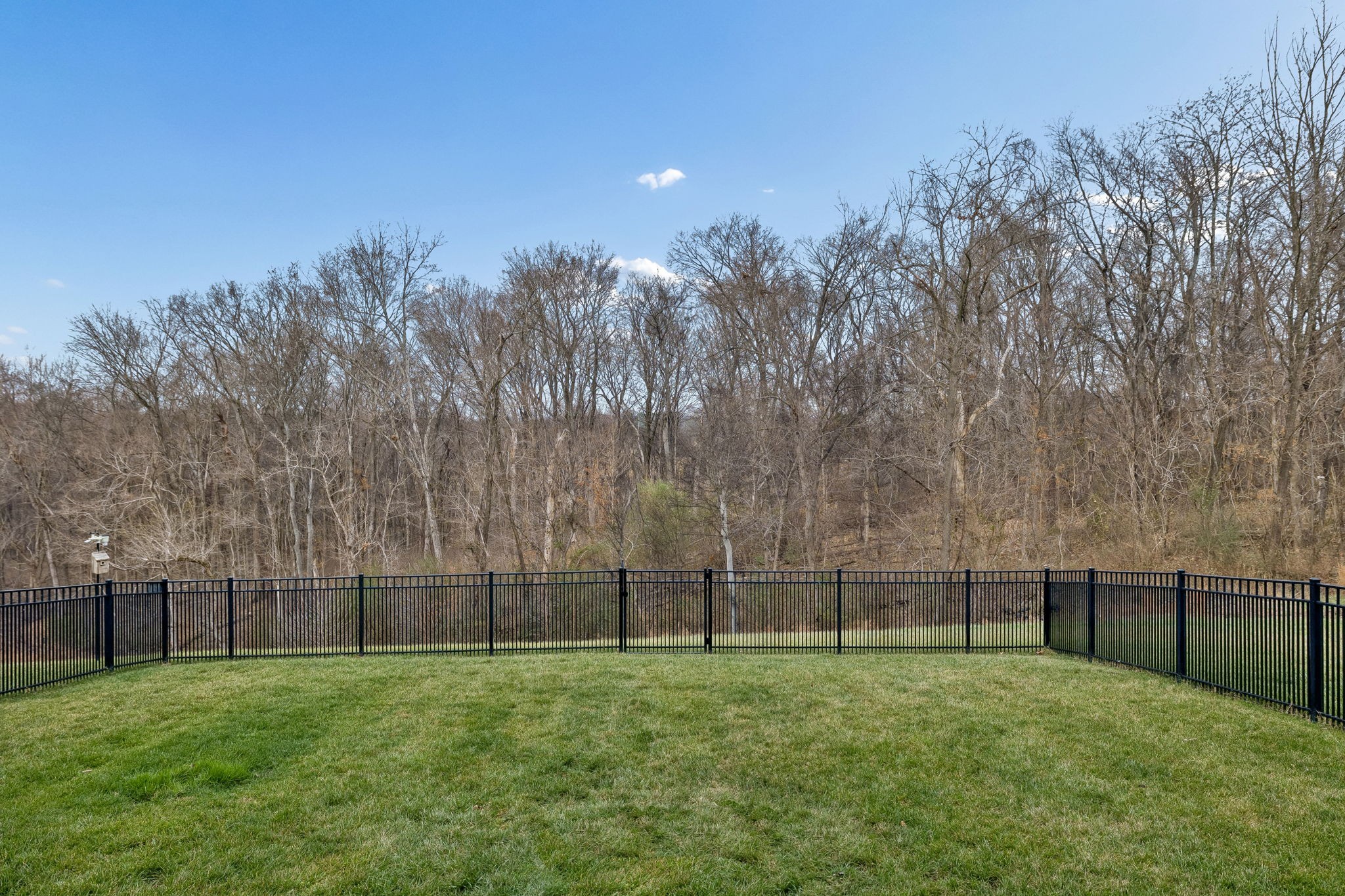 892 Meadow Crest Way Lebanon, TN 37090 - Photo 32 of 47 a view of a backyard with a trampoline