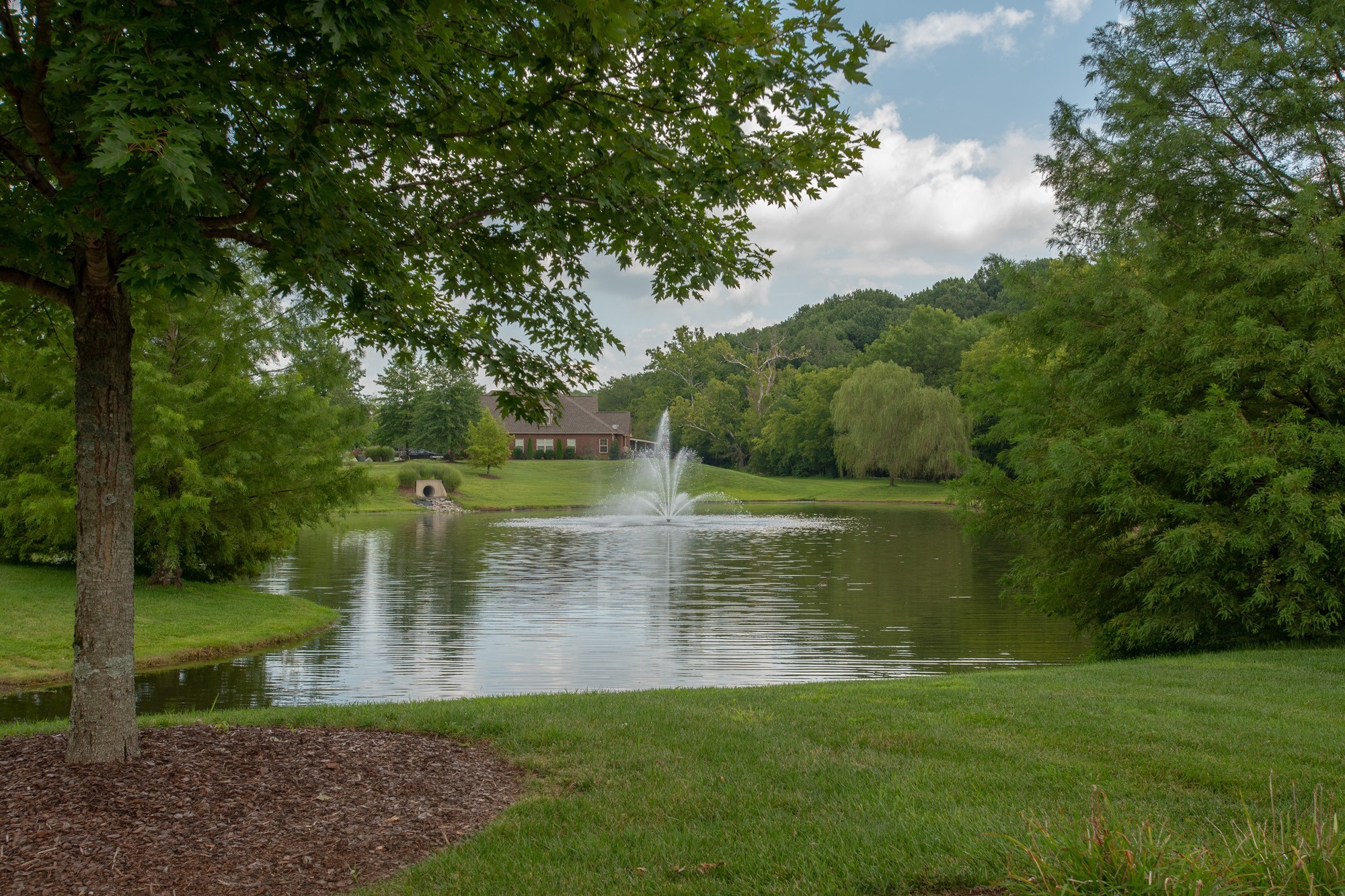 892 Meadow Crest Way Lebanon, TN 37090 - Photo 38 of 47 a view of a lake with a yard