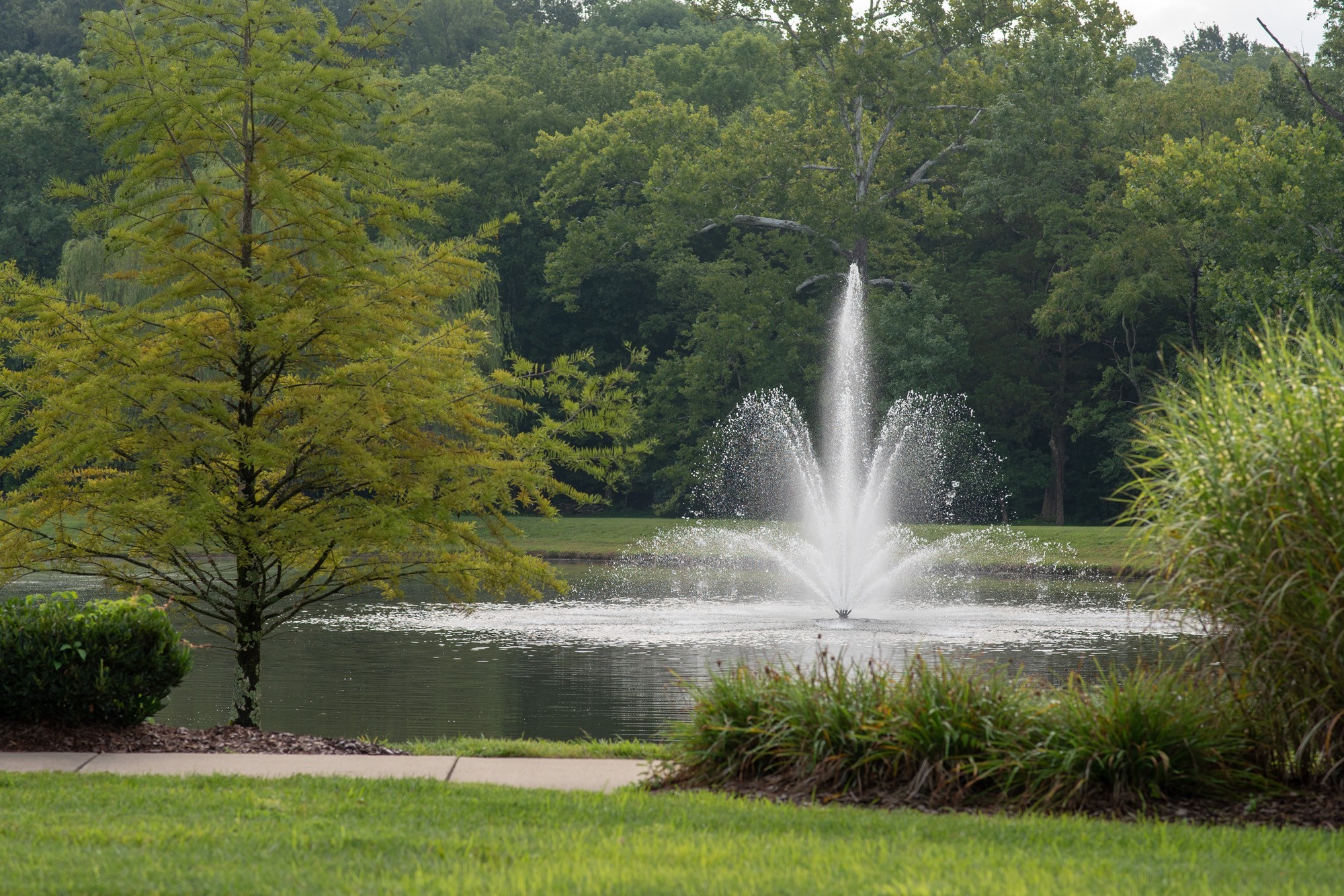 892 Meadow Crest Way Lebanon, TN 37090 - Photo 39 of 47 a view of a yard