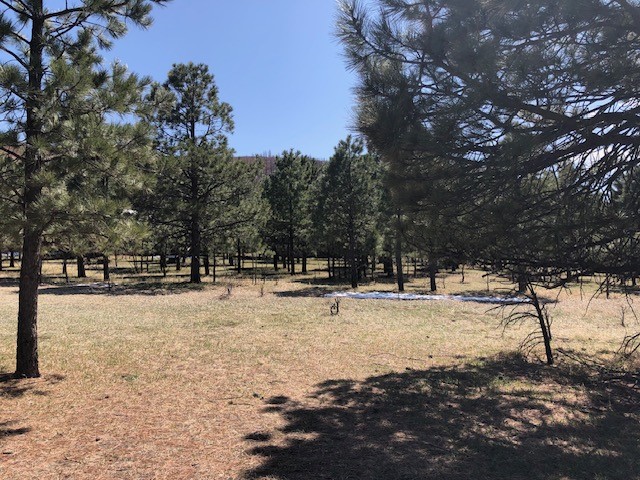 Lot 65 Patron Road Rociada, NM 87742 - Photo 2 of 14