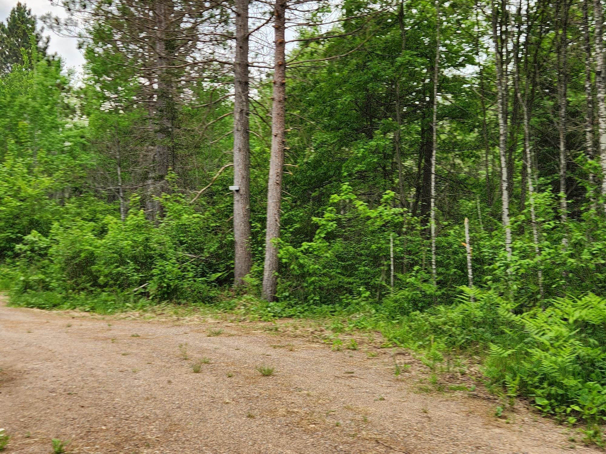 11339 Burrows Lake Road Tomahawk, WI 54487 - Photo 2 of 5