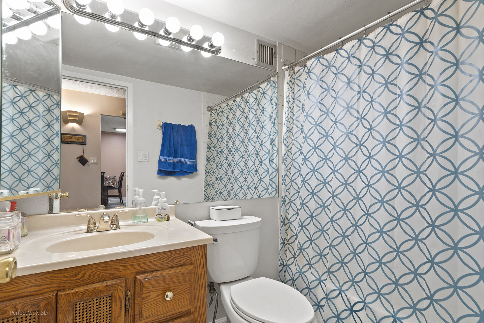 9701 North Dee Road, Unit 5E Niles, IL 60714 - Photo 5 of 18 a bathroom with a sink mirror vanity and toilet