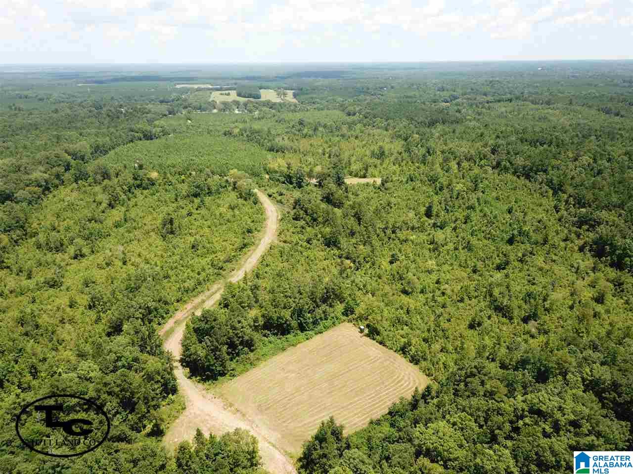 43 Highway, Unit CALVARY Demopolis, AL 36732 - Photo 5 of 9