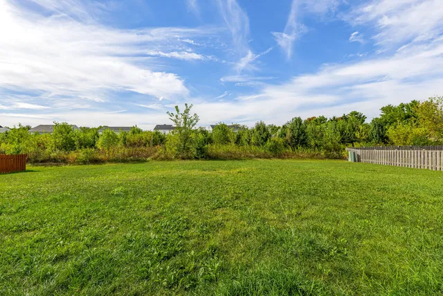 a view of yard with green space
