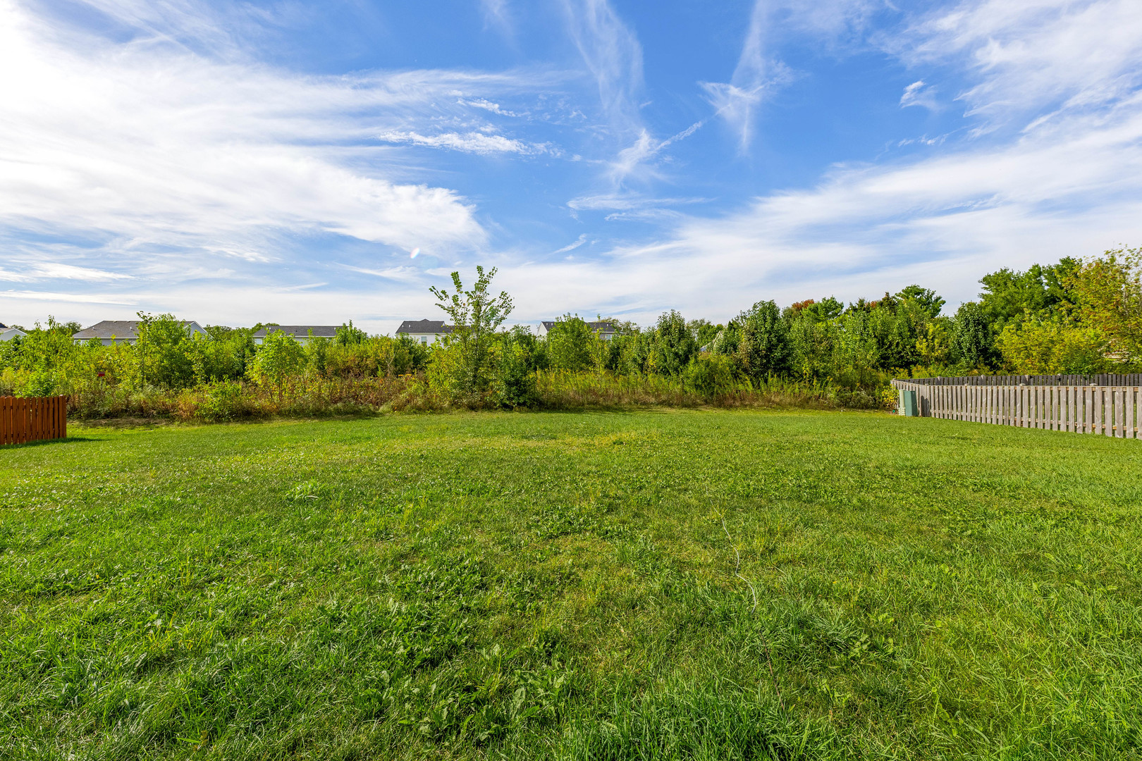 1019 Freeman Street Plano, IL 60545 - Photo 27 of 28 a view of yard with green space