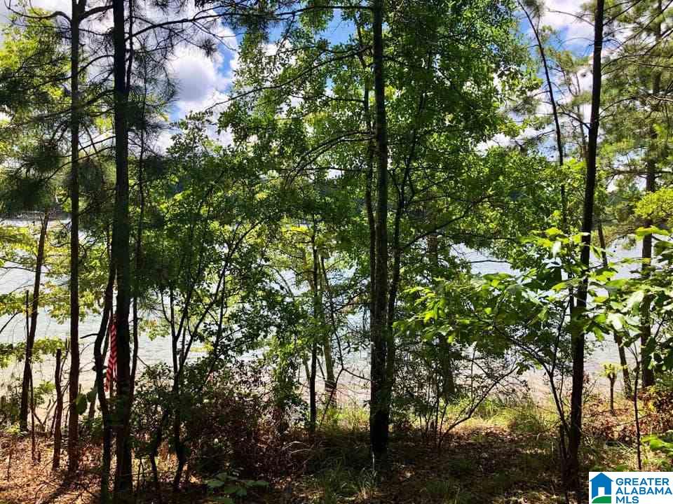 3292 County Road Wedowee, AL 36278 - Photo 7 of 9