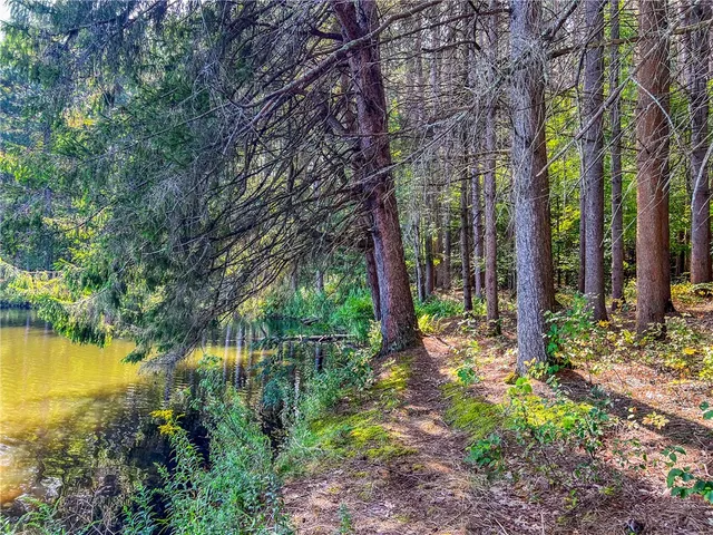 $360,000 | 0 Masonville Pond Cummings Road, Sidney Center, NY 13839