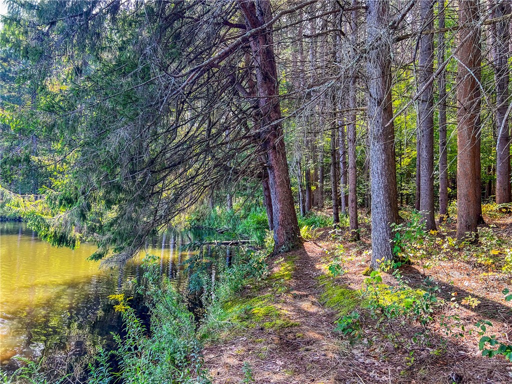 0 Masonville Pond Cummings Road Sidney Center, NY 13839 - Photo 11 of 34