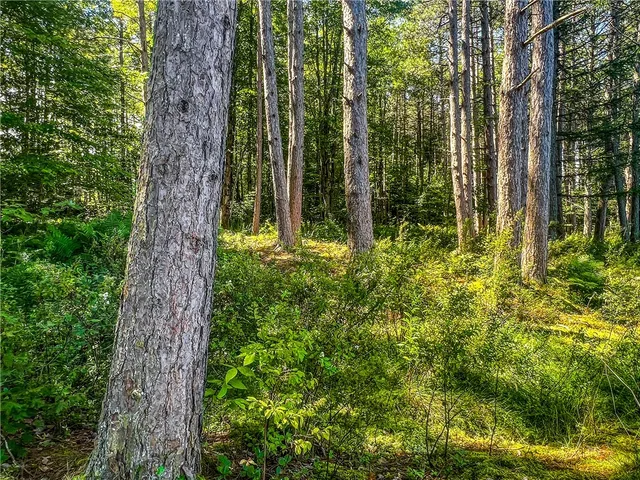 $360,000 | 0 Masonville Pond Cummings Road, Sidney Center, NY 13839