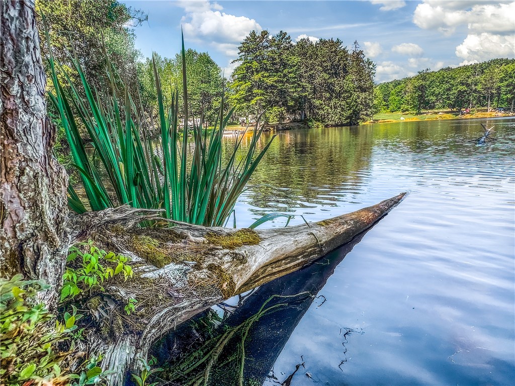 0 Masonville Pond Cummings Road Sidney Center, NY 13839 - Photo 16 of 34