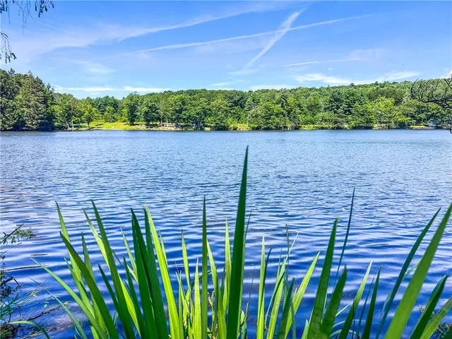 $360,000 | 0 Masonville Pond Cummings Road, Sidney Center, NY 13839