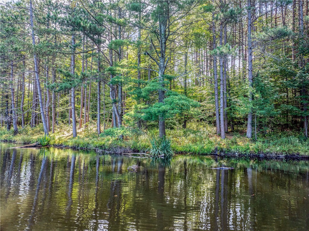 0 Masonville Pond Cummings Road Sidney Center, NY 13839 - Photo 18 of 34