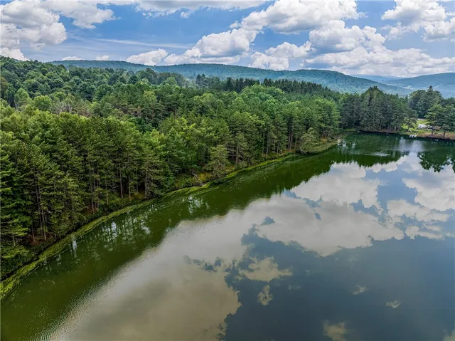 $360,000 | 0 Masonville Pond Cummings Road, Sidney Center, NY 13839