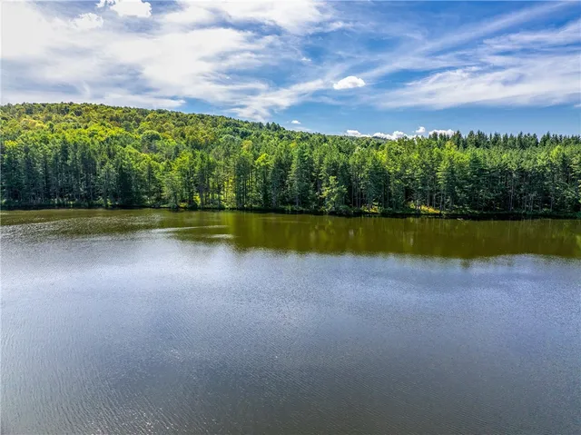 $360,000 | 0 Masonville Pond Cummings Road, Sidney Center, NY 13839