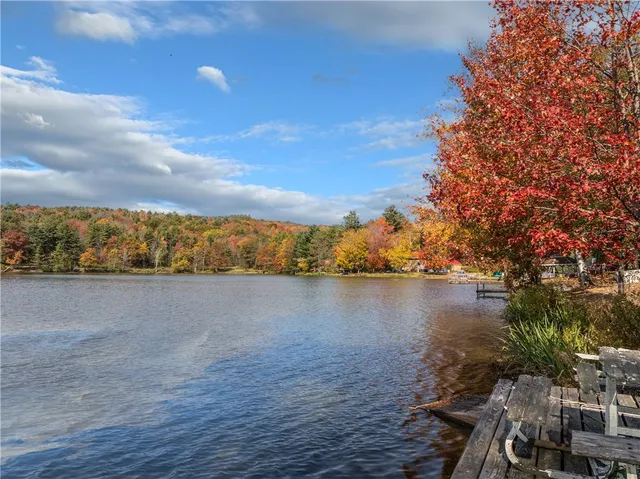 $360,000 | 0 Masonville Pond Cummings Road, Sidney Center, NY 13839