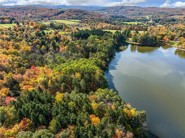 $360,000 | 0 Masonville Pond Cummings Road, Sidney Center, NY 13839