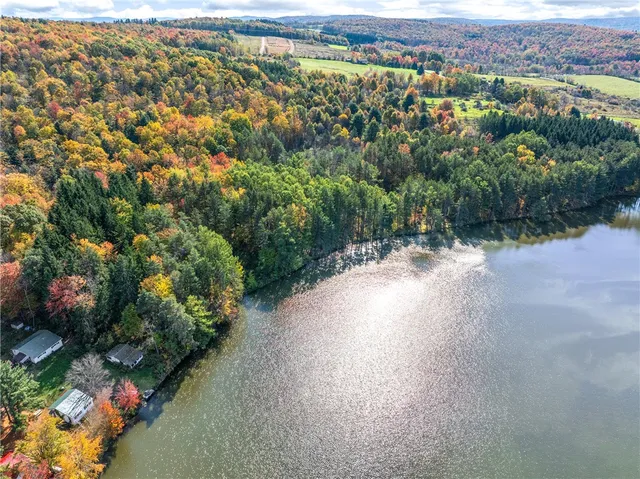 $360,000 | 0 Masonville Pond Cummings Road, Sidney Center, NY 13839