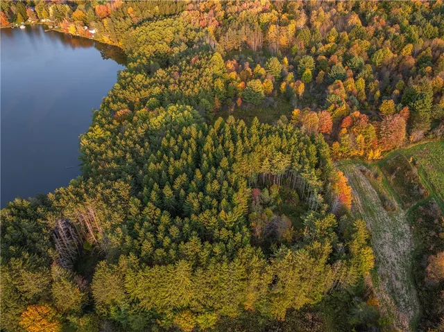 $360,000 | 0 Masonville Pond Cummings Road, Sidney Center, NY 13839