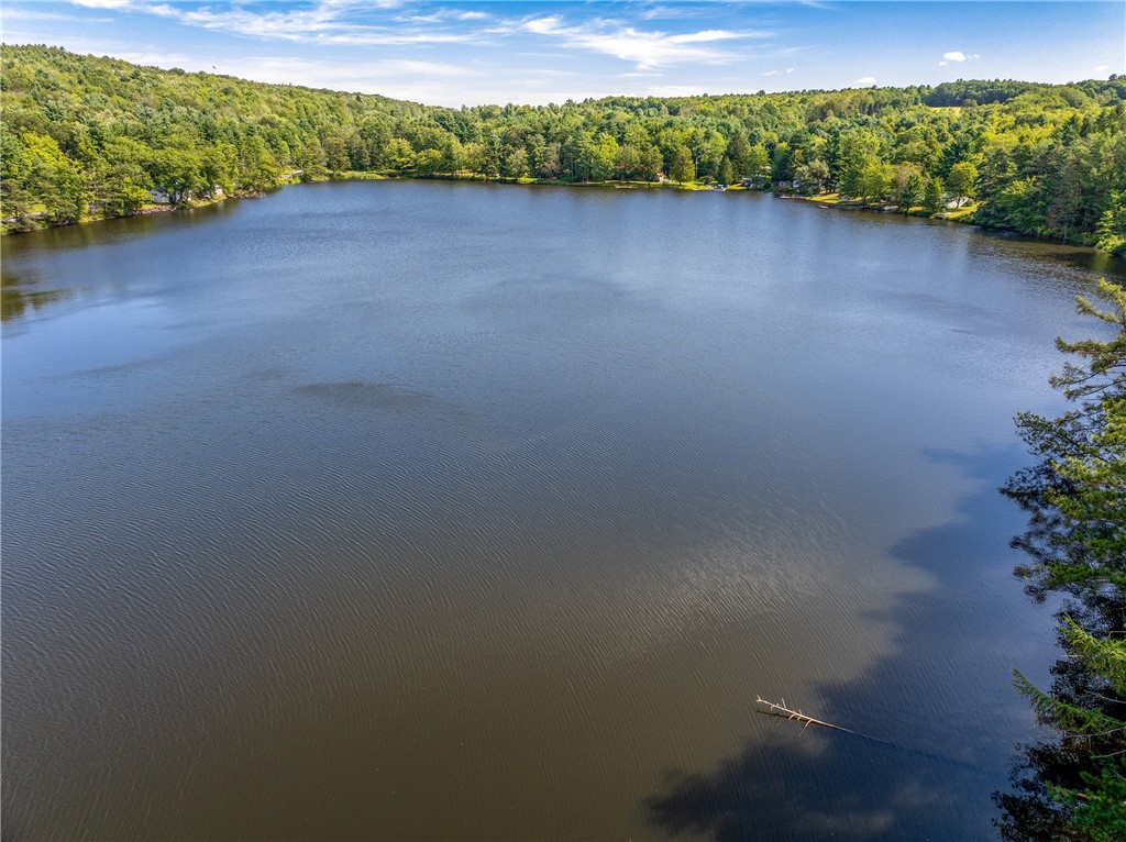 0 Masonville Pond Cummings Road Sidney Center, NY 13839 - Photo 32 of 34
