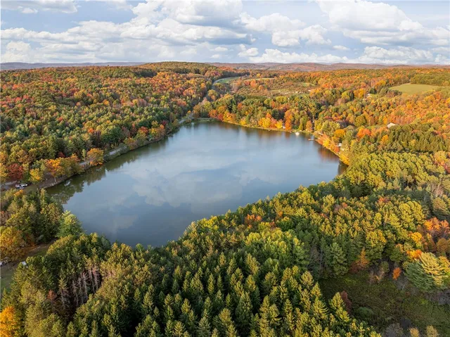 $360,000 | 0 Masonville Pond Cummings Road, Sidney Center, NY 13839