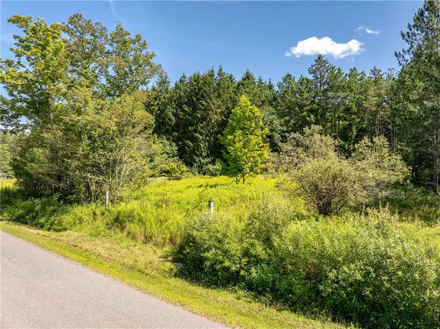 $360,000 | 0 Masonville Pond Cummings Road, Sidney Center, NY 13839