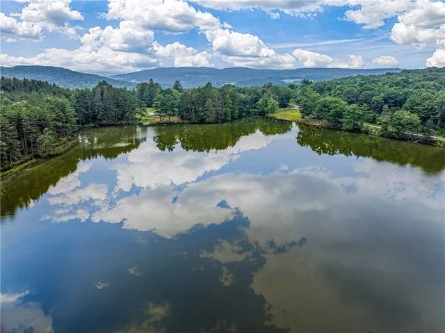 $360,000 | 0 Masonville Pond Cummings Road, Sidney Center, NY 13839